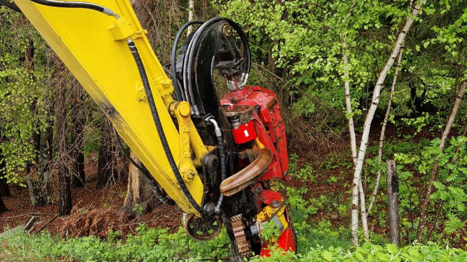 OmecoHub - Immagine 9